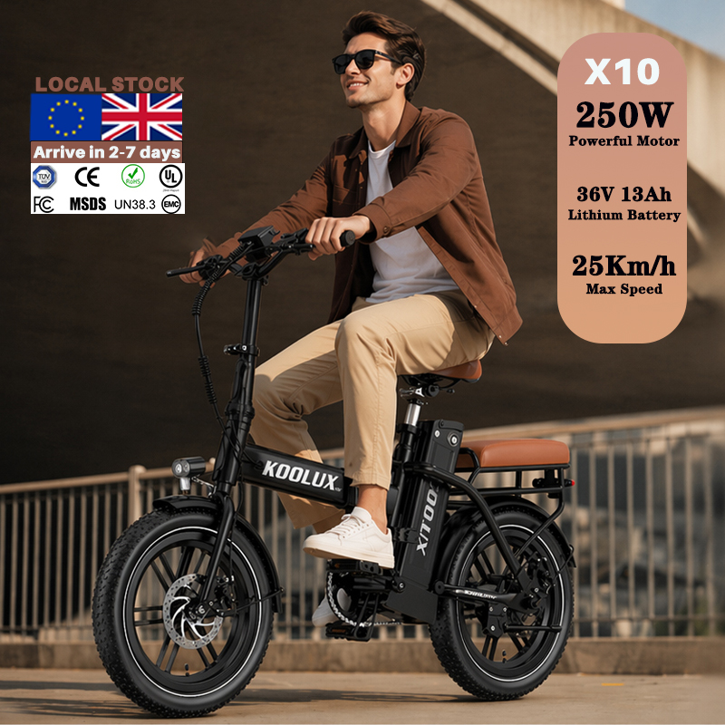 Mountain Biking Europe - ヨーロッパ ポーランド X10 電動折りたたみ自転車 リチウムバッテリー 7速